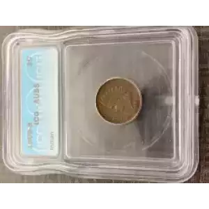 Small Cents-Indian Head 1859-1909 -Copper (3)