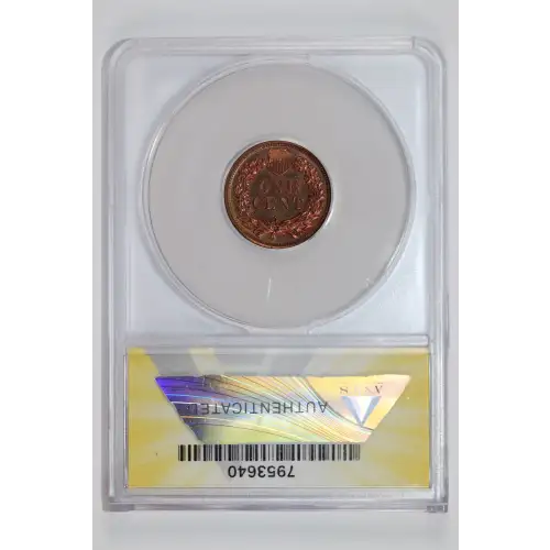 Small Cents-Indian Head 1859-1909 -Copper (2)