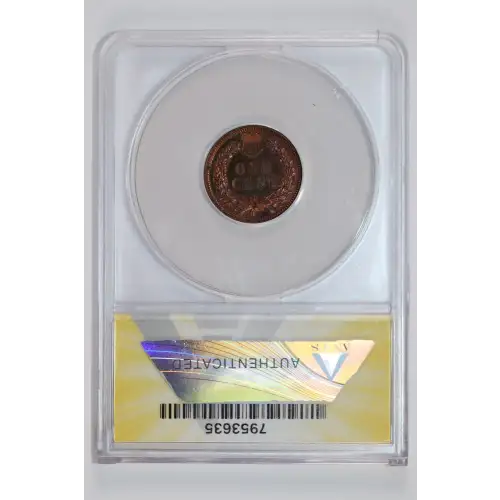 Small Cents-Indian Head 1859-1909 -Copper (2)