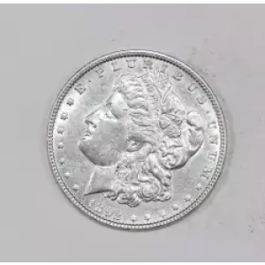Morgan Silver Dollar