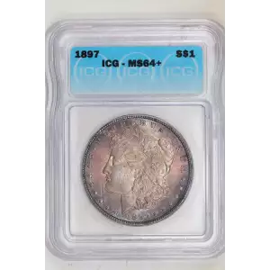 Morgan Silver Dollar