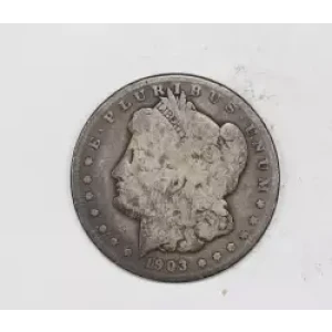 Morgan Silver Dollar