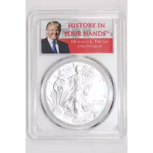 2017 $1 Silver Eagle First Strike