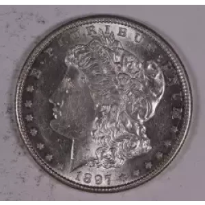 Morgan Silver Dollar
