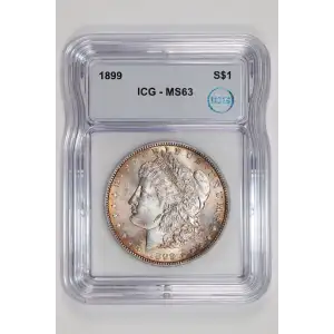 Morgan Silver Dollar