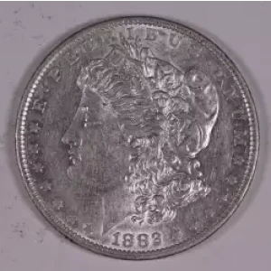 Morgan Silver Dollar