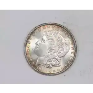 Morgan Silver Dollar