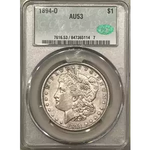 Morgan Silver Dollar