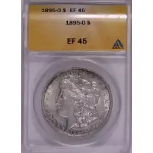 Morgan Silver Dollar