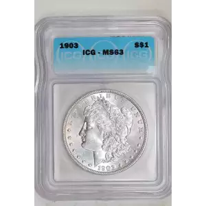 Morgan Silver Dollar