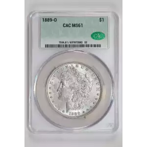 Morgan Silver Dollar