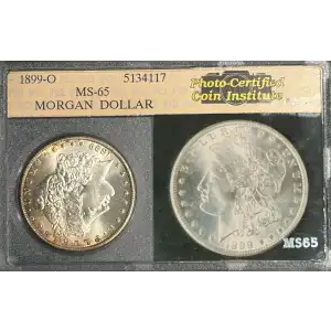 Morgan Silver Dollar