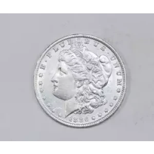 Morgan Silver Dollar