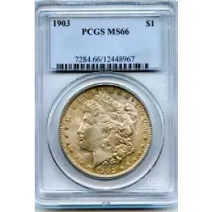 Morgan Silver Dollar (3)