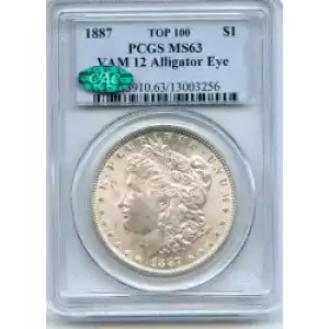 Morgan Silver Dollar (3)