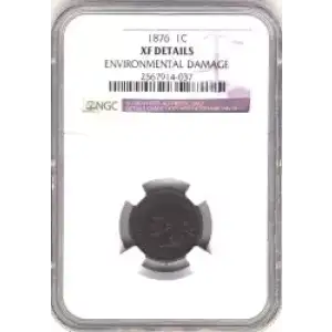 Small Cents-Indian Head 1859-1909 -Copper (3)