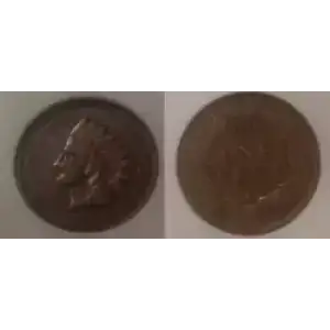 Small Cents-Indian Head 1859-1909 -Copper (3)