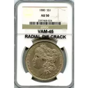 Morgan Silver Dollar (3)