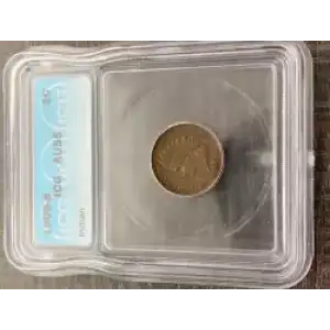 Small Cents-Indian Head 1859-1909 -Copper (3)