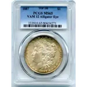 Morgan Silver Dollar (3)
