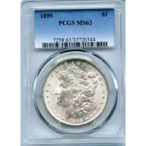 Morgan Silver Dollar (3)