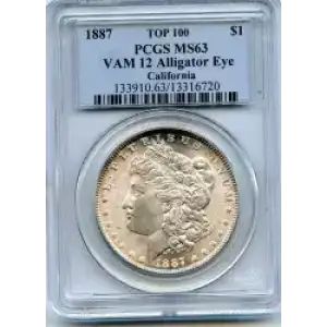 Morgan Silver Dollar (3)