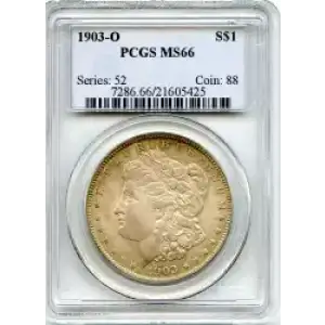 Morgan Silver Dollar (3)