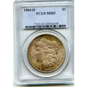 Morgan Silver Dollar (3)