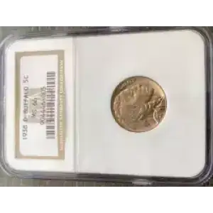 Nickel Five Cent Pieces-Indian Head or Buffalo (3)