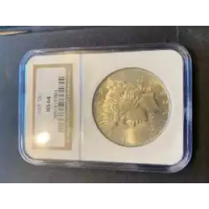 Peace Silver Dollar (3)