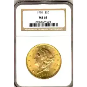 Double Eagles---Liberty Head 1849-1907 -Gold- 20 Dollar (3)