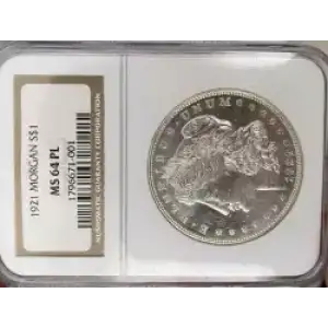 Morgan Silver Dollar (3)