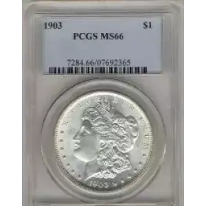 Morgan Silver Dollar (3)