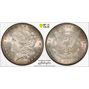 Morgan Silver Dollar (2)