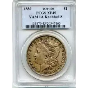 Morgan Silver Dollar (3)