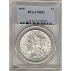 Morgan Silver Dollar (3)