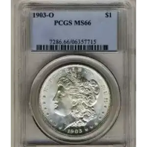 Morgan Silver Dollar (3)