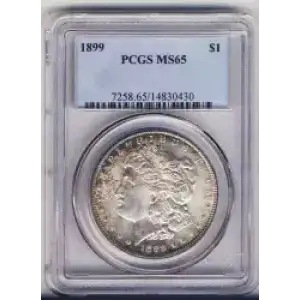 Morgan Silver Dollar (3)