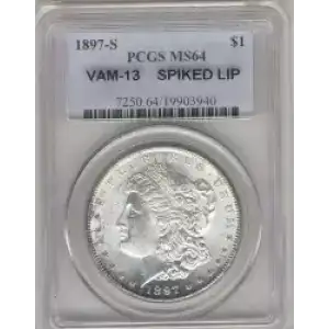 Morgan Silver Dollar (3)