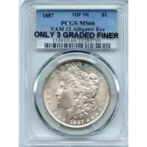Morgan Silver Dollar (3)