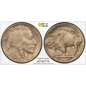 Nickel Five Cent Pieces-Indian Head or Buffalo (2)