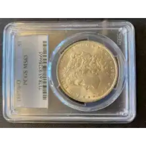 Morgan Silver Dollar (3)