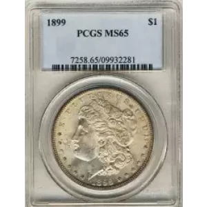 Morgan Silver Dollar (3)