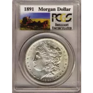 Morgan Silver Dollar (3)