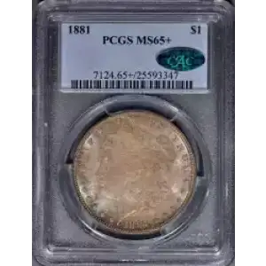 Morgan Silver Dollar (3)