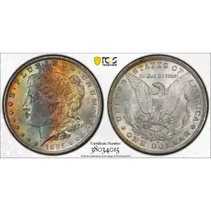 Morgan Silver Dollar (2)