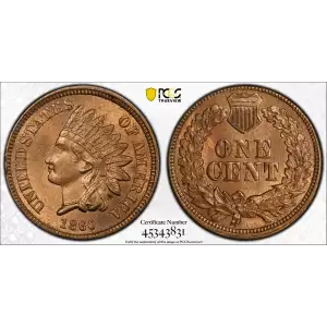 Small Cents-Indian Head 1859-1909 -Copper (2)