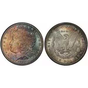 Morgan Silver Dollar