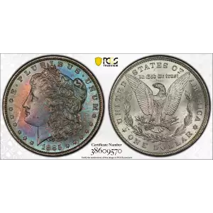 Morgan Silver Dollar (2)